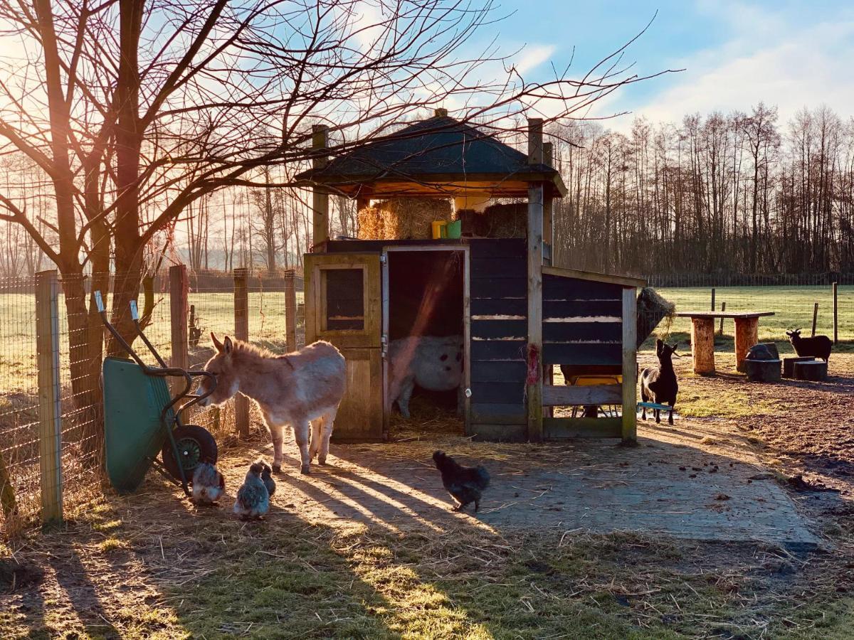 Camping Vossenberg - Op De Veluwe! Epe Exterior photo